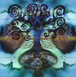 Arbe fractal