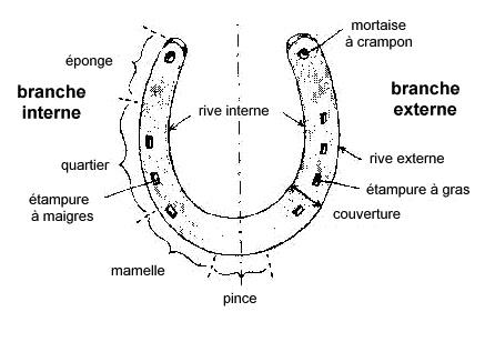 Combien coûtera pour augmenter le membre