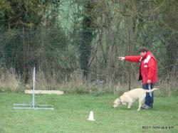 Concours d'obéissance Club canin du Sud de l'Aisne