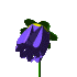 Fleur animée pour protection environnement.gi