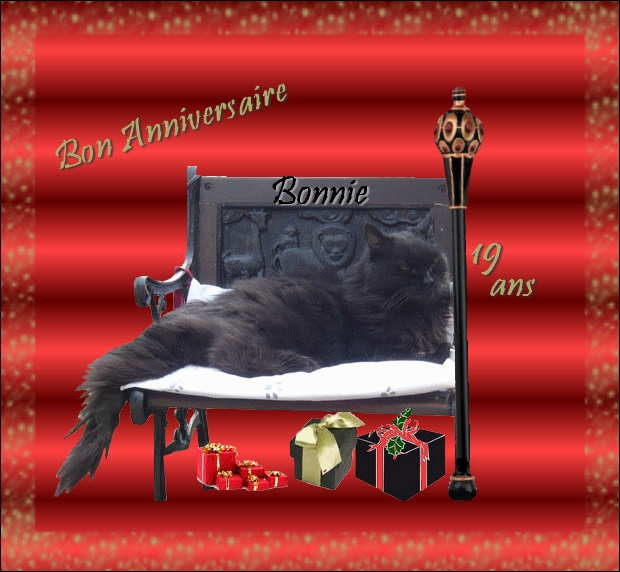 Bonnie- chatsnoirs.com 19 ans de Bonnie