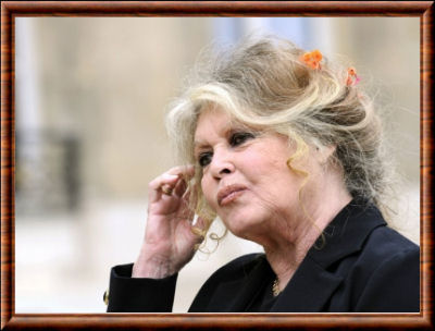 La présidente de la Fondation Brigitte Bardot au secours des chiens errants de Roumanie