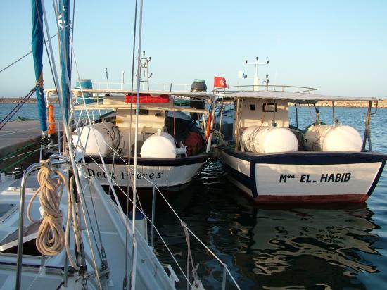 Rencontre en ligne tunisie