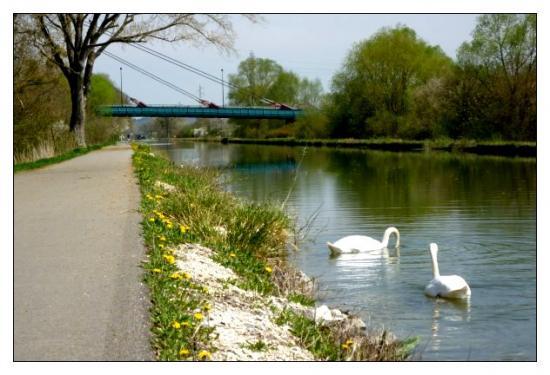 Le pont d'Etupes.jpeg