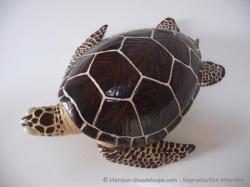 Tortue souvenir
