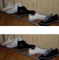 Collection Basket