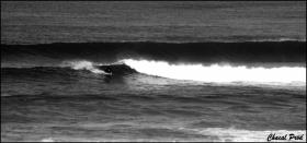 Session Truc Vert - Chacal Prod Pictures