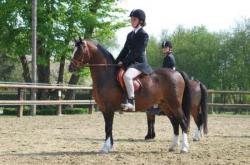 romeo et anais; Riden Class