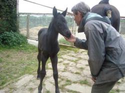 la petite dernière née le 21 avril 2011