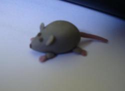rat en porcelaine froide