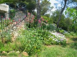 L'escalier du jardin au sud mène à la piscine