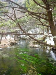 Green river - Kamikochi