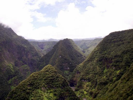 rencontre iles de la reunion