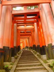 Takusan torii - Kyoto