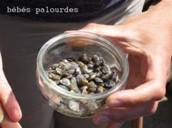 b&eacute;b&eacute;s palourdes