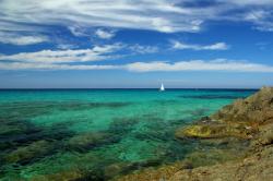 Corse Corse