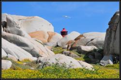 Phare Lavezzi