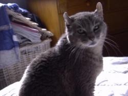 et toujours dame flanelle