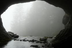 dans la grotte de la source du Guiers mort au dessus de St Pierre de Chartreuse