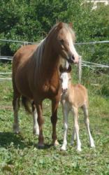 lajita et boy