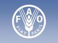 FAO_logo_0.jpg