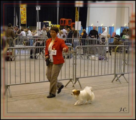 mystix DREUX 2011