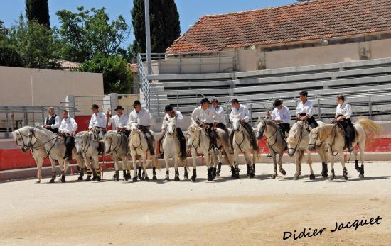 Abrivado longue et vachettes