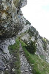 sentier suspendu pour aller à chamechaude par le jardin