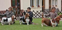 jc nord 2010