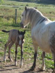 betty et henriette