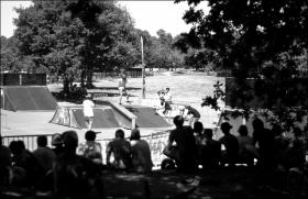 Contest Skate Laton by Chacal Prod