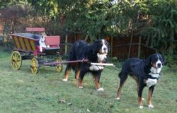 rencontrer en allemand