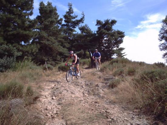 randonnee vtt allier