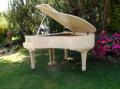 tounage du film un piano dans le marais A. Wanhoun