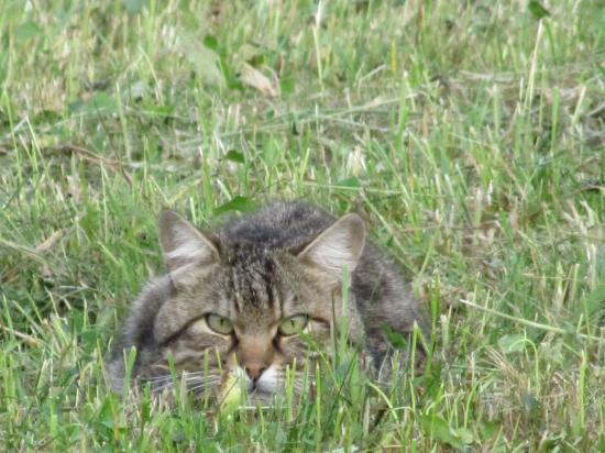 rencontre bois des hates