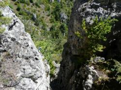 via cordata de Meyrueis