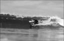 Session Cap Ferret - Chacal Prod Pictures