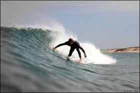 Session Cap Ferret - Chacal Prod Pictures
