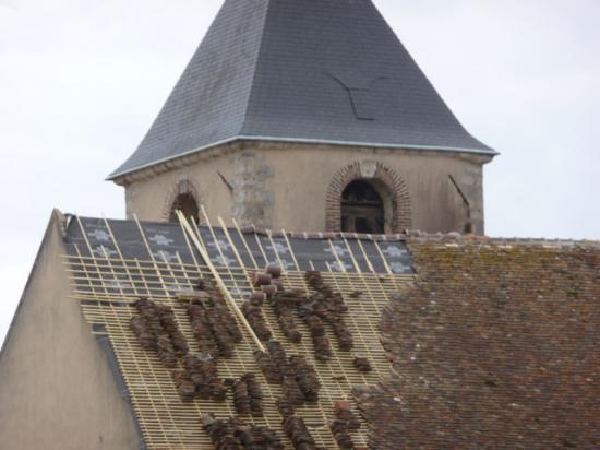 Rencontres animalieres egriselles le bocage