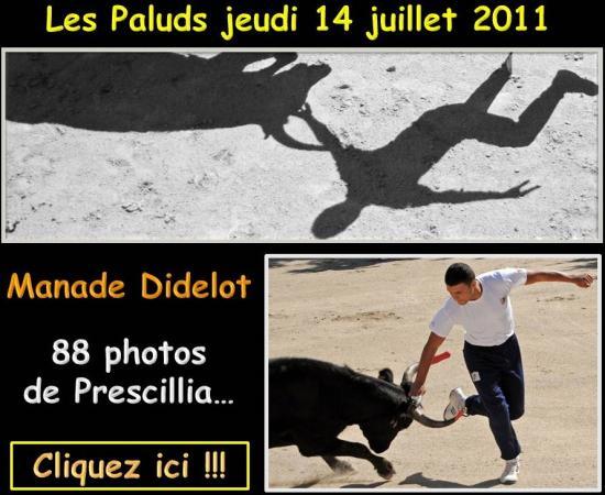 Les Paluds 14 juillet 2011