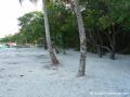 Plage pointe de la saline Guadeloupe