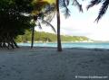 Plage pointe de la saline Guadeloupe