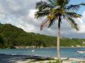 Plage pointe de la saline Guadeloupe
