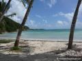 Plage pointe de la saline Guadeloupe