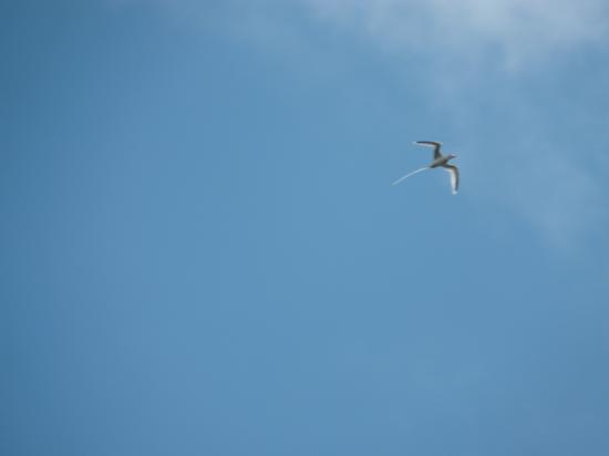 accroche mail site rencontre