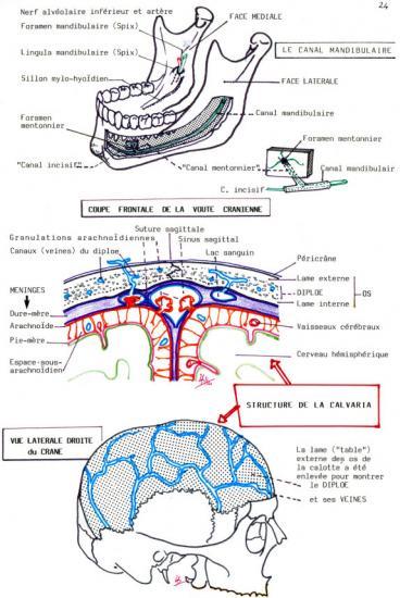 mandibulaire hypoplasie