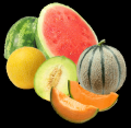 Fruits d'&eacute;t&eacute;