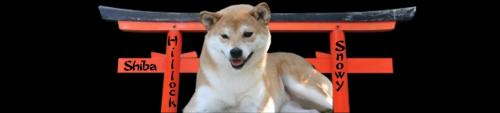 shiba natsu
