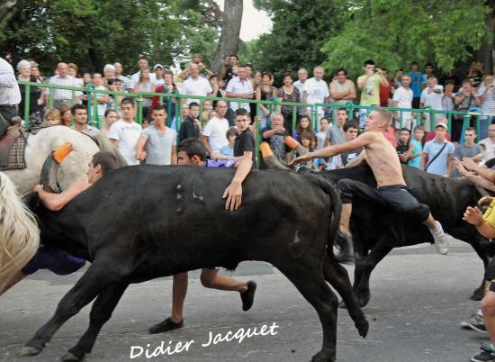 Bandido... Kitchou &agrave; l'assaut du bi&ograve;u