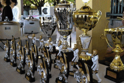TOURNOI DE L'AMITIE 2011
